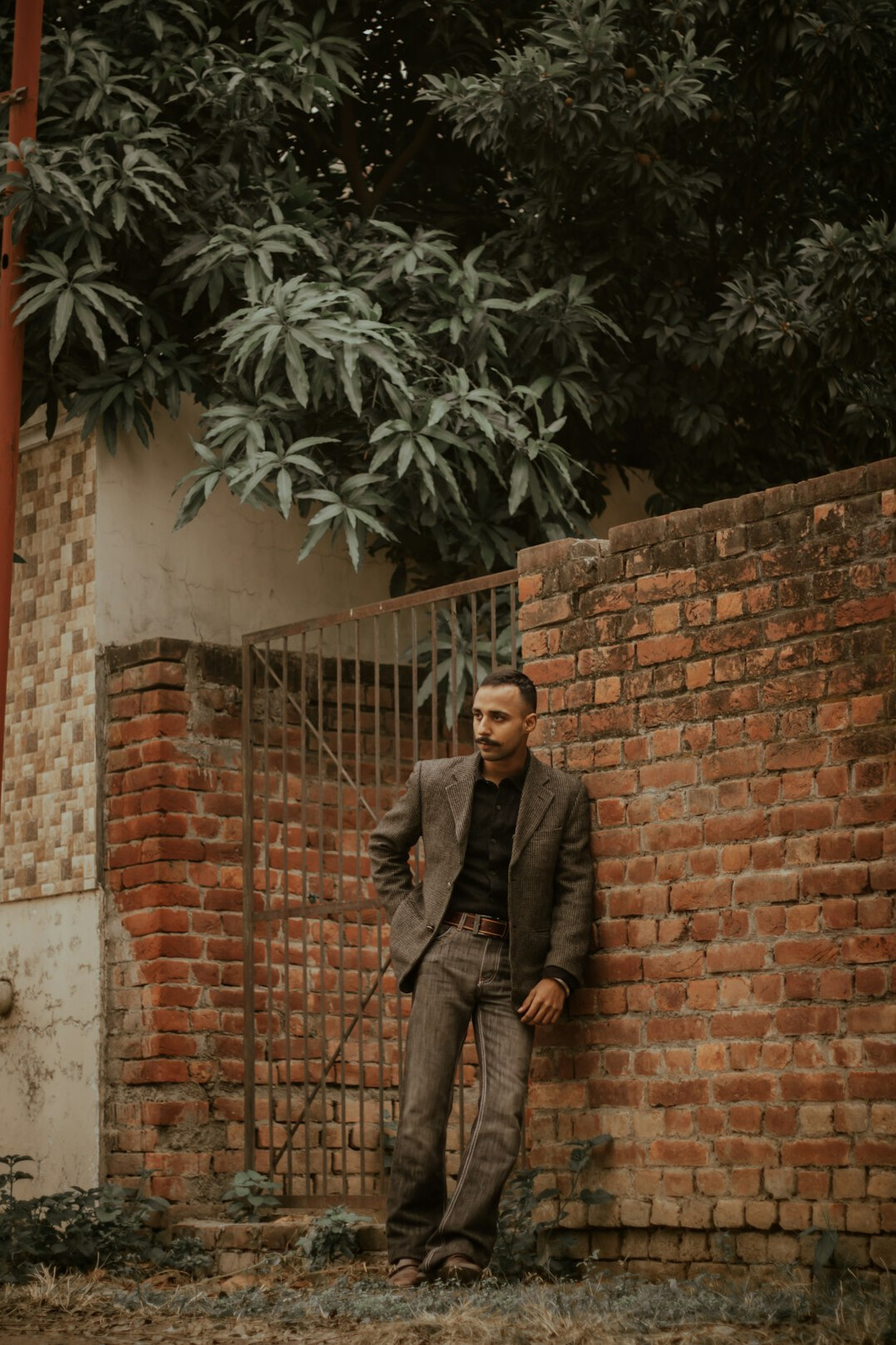 Portrait of a man in a suit
